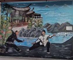 Everybody is Kung Fu fighting by Belinda Low at Blk 333 Kreta Ayer Rd.