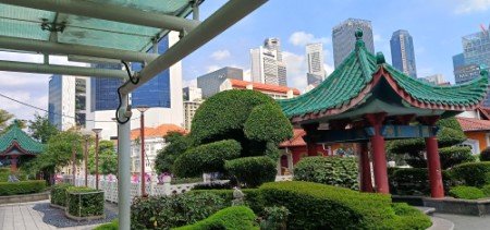 桥上小花园。