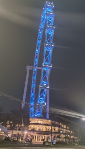 The Singapore Flyer.
