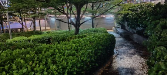 Entrance to the Plant Wall and slope to the waterfront.