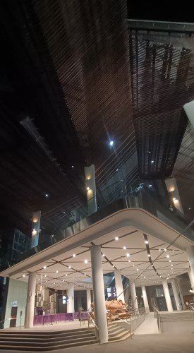 云雾林的入口。