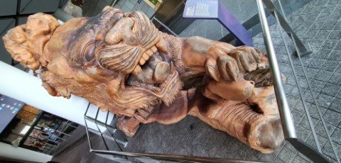 狮子王守卫入口。