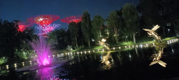 余爱诗博士 (Dr Elsie Yu) 的《蜻蜓骑士》。