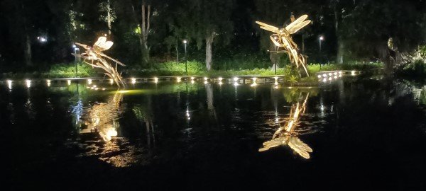 余爱诗博士 (Dr Elsie Yu) 的《蜻蜓骑士》。