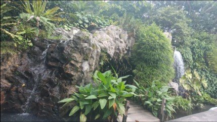 Waterfalls and Walk-in Cave at Ginger Garden.