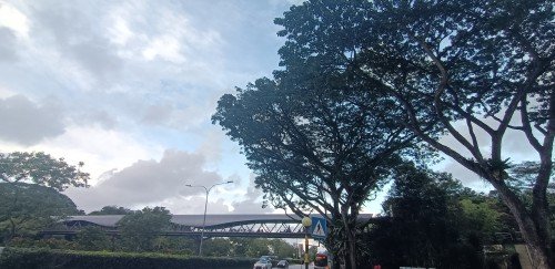 Cross the overhead bridge at Dunearn Rd and go down the stairs.