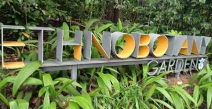 民族植物学花园。