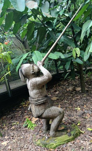 民族植物园中艾琳·托 (Aileen Toh) 所著的《狩猎采集者》。