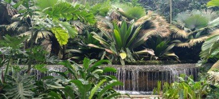 纳西姆门游客中心的瀑布。