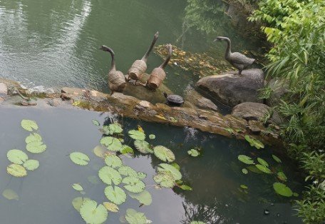 Geese by Unknown Sculptor, is located at Swan Lake.