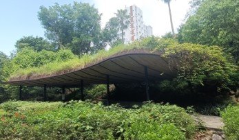 民族植物园的绿色庇护所。