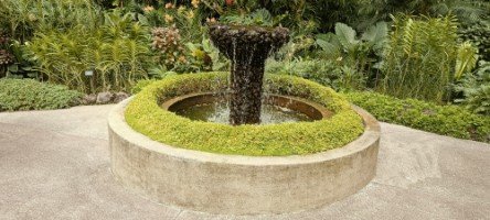 Small Waterfall in The National Orchid Garden.