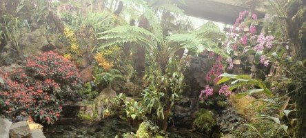 Beautiful Orchids Everywhere at The SembCorp Cool House.