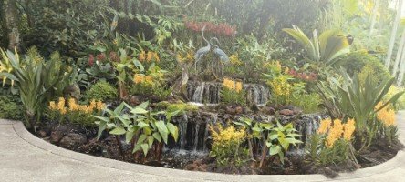 The Cranes waterfalls in The National Orchid Garden.