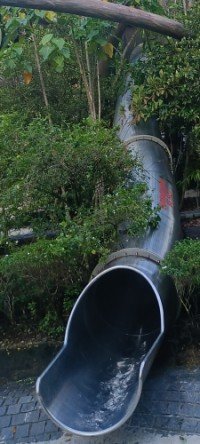The Slide at the Como Adventure Grove.