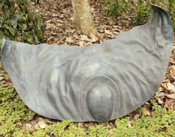 蔡文记的爪哇黄瓜种子。