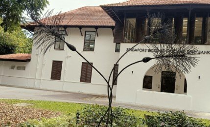 蔡文基 (Chua Boon Kee) 创作的 Tandok-Tandok 种子雕塑。