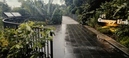 Start of The HPL Canopy Link.