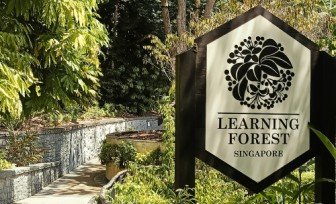 Entrance to the Learning Forest.