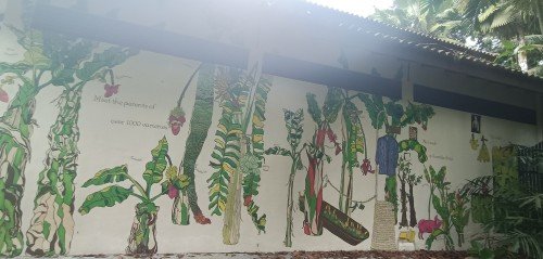 Another Ginger Mural by Unknown Artist at the Ginger Garden.