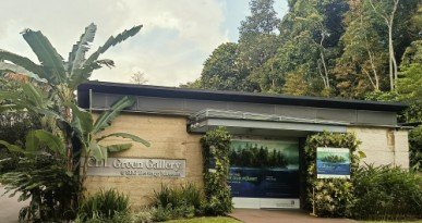 The CDL Green Gallery.