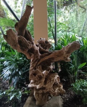 Beautiful sculptures made from tree roots and stumps by Unknown Sculptors.