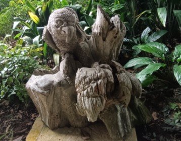 Beautiful sculptures made from tree roots and stumps by Unknown Sculptors.