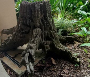 Beautiful sculptures made from tree roots and stumps by Unknown Sculptors.