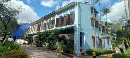 Emerald Hill Conservation Area 翡翠山保护区的文物建筑。