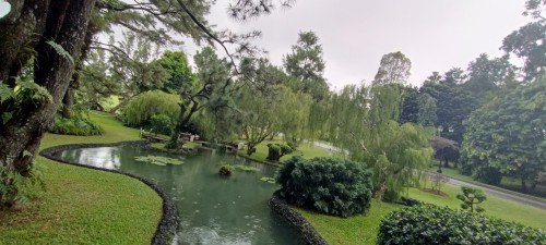 The Istana Japanese Garden 总统府的日本花园。