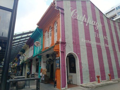 位于 Cuppage Rd. 19 号的 Cuppage Terrace。