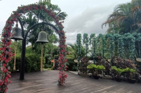 波兰双幸福钟和历史。