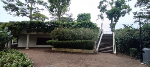 在前往 Faber Point 花柏顶之前，先探索新加坡的历史壁画。