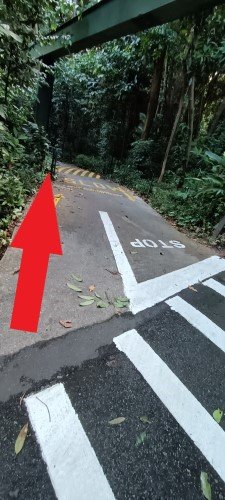 高架旧单轨轨道。