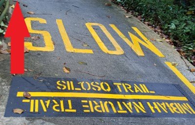 地板上的西乐索步道标志。