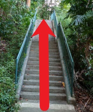 继续走，直到你面对楼梯。走上楼梯然后沿着人行道走。 