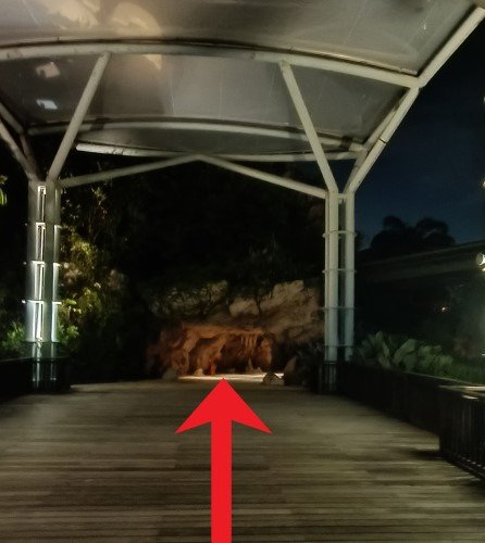 Walk into the sheltered walkway, through the cave, explore and enjoy the view.