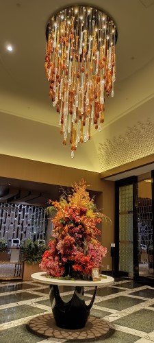 迈克尔酒店的美丽的植物和灯光。