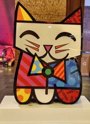 欧芮酒店前的猫。