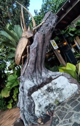 树干上的大昆虫。