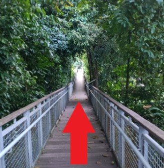 然后左转探索英比奥步道。