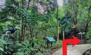 走过那只鸟然后在路上右转。