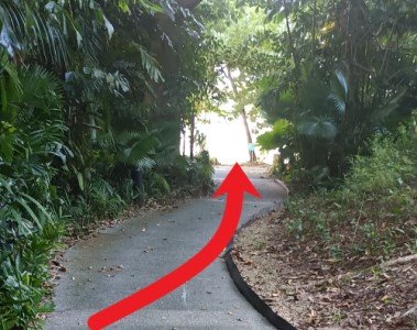 沿着左边的斜坡走下去，直到到达海滨。