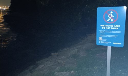 查看丹戎里茂的标志。