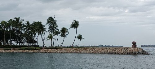 对面的海港入口。