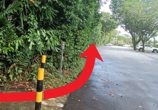 继续靠左行走进入停车场。