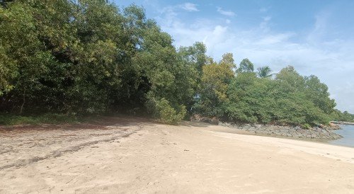 走向岩石和水域旁边的森林区域，那里就是礁石酋长的藏身之处。