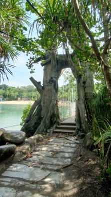 亚洲大陆最南端的吊桥。