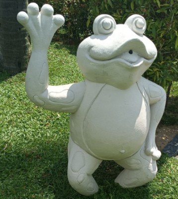 游泳池附近的青蛙。