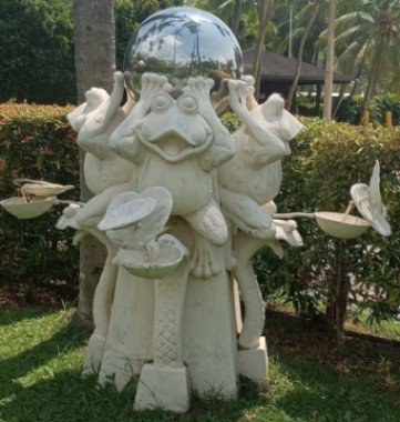 游泳池附近的青蛙。"